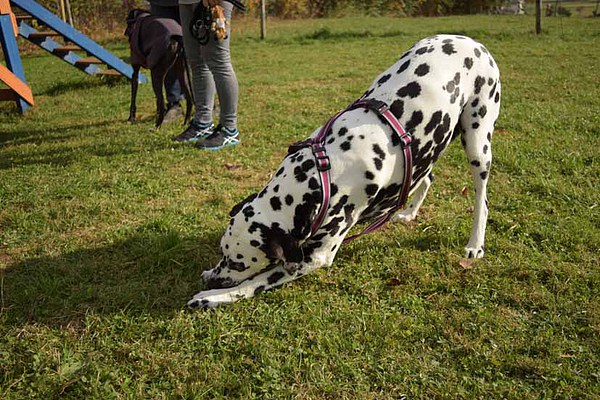 med_Strecken!.jpg (600 x 400)